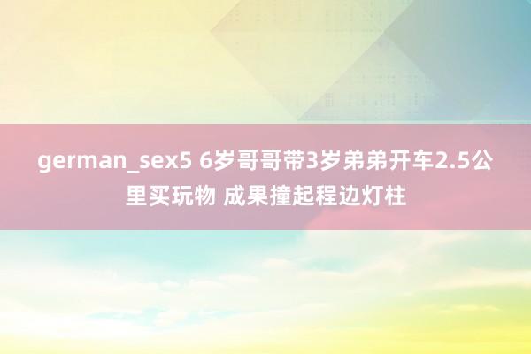 german_sex5 6岁哥哥带3岁弟弟开车2.5公里买玩物 成果撞起程边灯柱