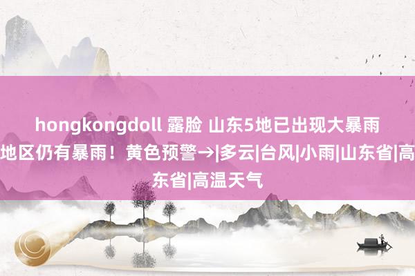 hongkongdoll 露脸 山东5地已出现大暴雨，部分地区仍有暴雨！黄色预警→|多云|台风|小雨|山东省|高温天气