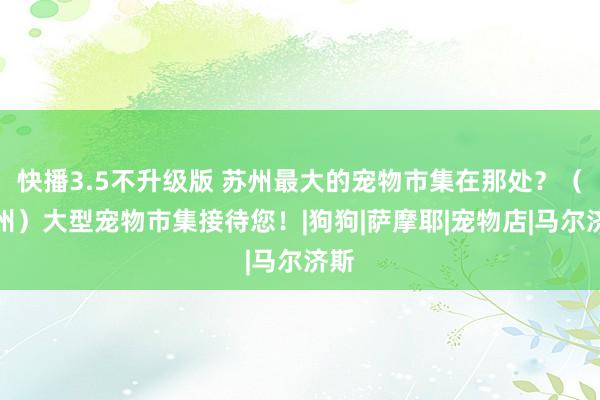 快播3.5不升级版 苏州最大的宠物市集在那处？（苏州）大型宠物市集接待您！|狗狗|萨摩耶|宠物店|马尔济斯