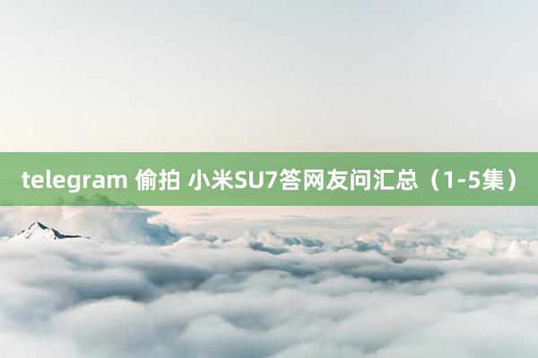 telegram 偷拍 小米SU7答网友问汇总（1-5集）