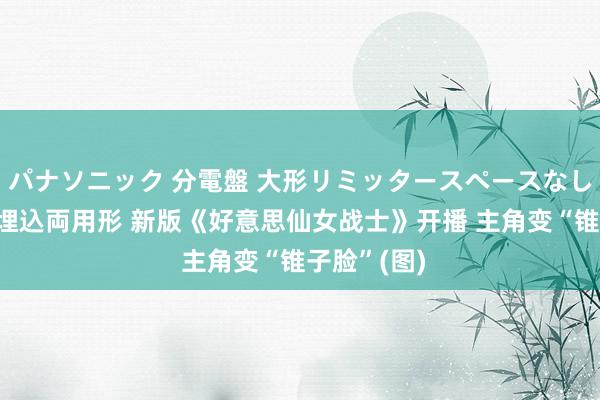 パナソニック 分電盤 大形リミッタースペースなし 露出・半埋込両用形 新版《好意思仙女战士》开播 主角变“锥子脸”(图)