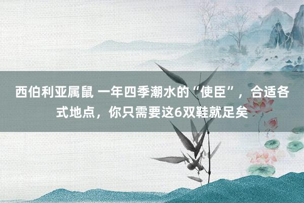 西伯利亚属鼠 一年四季潮水的“使臣”，合适各式地点，你只需要这6双鞋就足矣