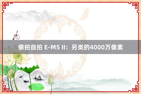 偷拍自拍 E-M5 II：另类的4000万像素