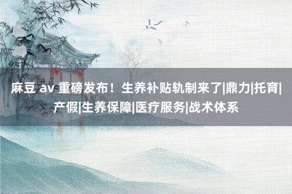 麻豆 av 重磅发布！生养补贴轨制来了|鼎力|托育|产假|生养保障|医疗服务|战术体系