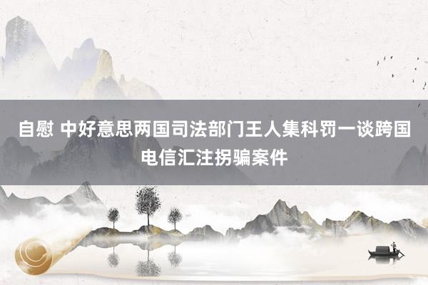 自慰 中好意思两国司法部门王人集科罚一谈跨国电信汇注拐骗案件