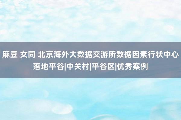 麻豆 女同 北京海外大数据交游所数据因素行状中心落地平谷|中关村|平谷区|优秀案例