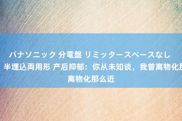 パナソニック 分電盤 リミッタースペースなし 露出・半埋込両用形 产后抑郁：你从未知谈，我曾离物化那么近