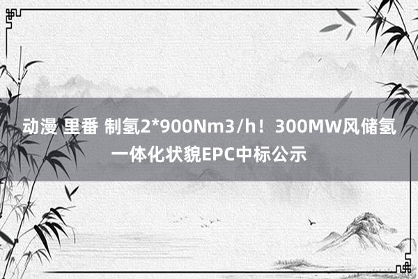 动漫 里番 制氢2*900Nm3/h！300MW风储氢一体化状貌EPC中标公示