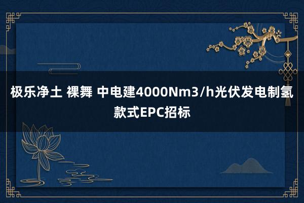 极乐净土 裸舞 中电建4000Nm3/h光伏发电制氢款式EPC招标