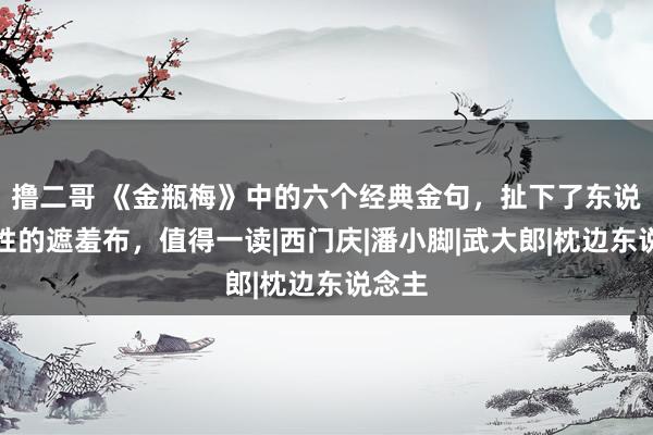 撸二哥 《金瓶梅》中的六个经典金句，扯下了东说念主性的遮羞布，值得一读|西门庆|潘小脚|武大郎|枕边东说念主